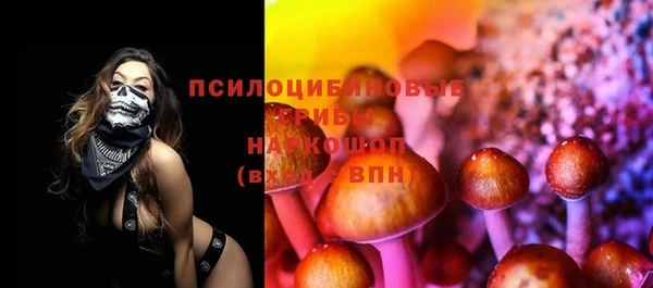 хмурый Вяземский