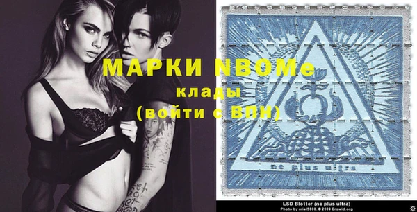хмурый Вяземский
