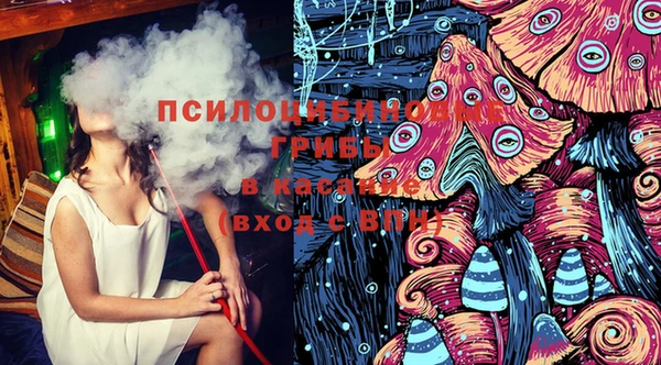хмурый Вяземский