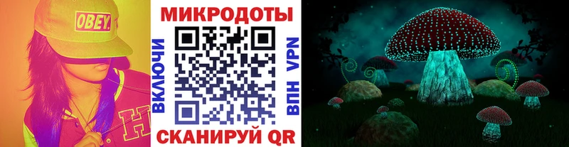 наркошоп  Рыльск  Галлюциногенные грибы Cubensis 